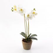 Kunst Phalaenopsis Orchidee MINA im Terracotta Topf, weiß, 45cm