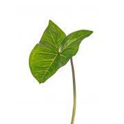 Kunstpflanze Syngonium JORDAN, grün, 50cm