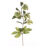 Kunstpflanze Hopfenzweig AXEL mit Blüten, grün, 65cm