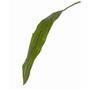 Kunst Keulenlilien Blatt ELARA, grün, 90cm