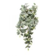 Kunstpflanze Fittonia RHODA auf Steckstab, grün-weiß, 75cm
