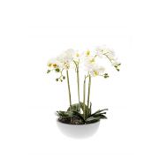 Kunst Phalaenopsis Orchidee MINA im Keramiktopf, weiß, 60cm
