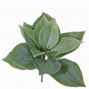 Kunstpflanze Hosta KIDDY auf Steckstab, grün, 25cm