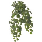 Kunst Fittonia MELLY, Steckstab, crossdoor, schwer brennbar, grün-weiß, 75cm