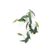 Kunst Forellenbegonie Girlande JOELLE, grün-weiß, 120cm