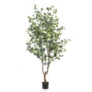 Kunst Eukalyptus Baum ANUHEA, Kunststamm, grün-grau, 180cm