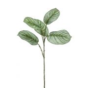Kunstzweig Calathea Orbifolia ALNIYAT, grün-weiß, 75cm