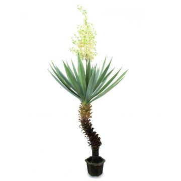 Kunststoff Palmlilie SINGA mit Blüten, 220cm