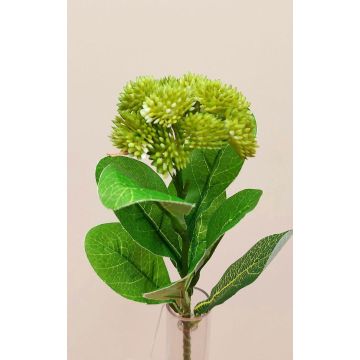 Künstliche Sedum telephium Blüte EILIDH, grün, 30cm