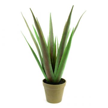 Plastik Aloe Vera LUCIO im Dekotopf, grün, 55cm, Ø25cm