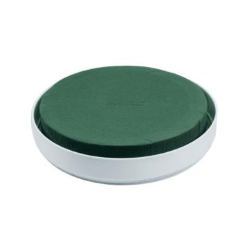 OASIS Runde Nass Steckschaum Schale RUDON für Gestecke, in Kunststoffschale, grün-weiß, 4cm, Ø20cm