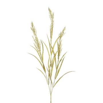 Deko Zweig Sandrohr BUTINA mit Rispen, grün, 85cm