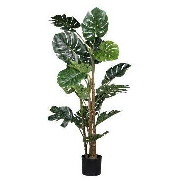 Kunst Philodendron Monstera Deliciosa ZARUM, 160cm
