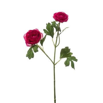Dekozweig Ranunkel Blumenzweig FLORANCE, dunkelpink, 45cm