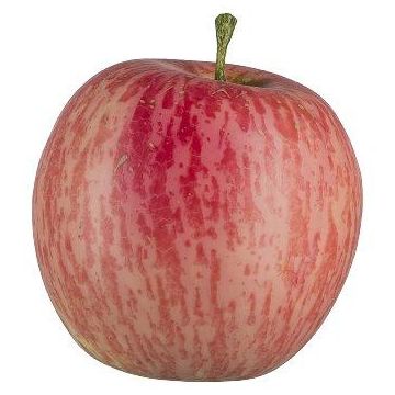 Künstliches Obst Apfel LOKPA, pink, 6,5cm, Ø6,5cm Künstliches Obst Apfel LOKPA, pink, 6,5cm, Ø6,5cm