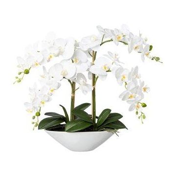 Textil Phalaenopsis Orchidee KENTOL, Keramikschale, Wurzeln, weiß, 55cm