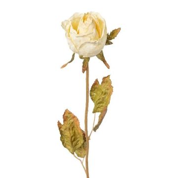 Dekoblume Rose WORNA, Trockenoptik, creme, 55cm