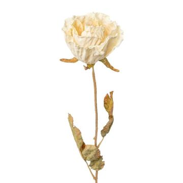 Dekoblume Rose PANSOK, Trockenoptik, creme, 55cm