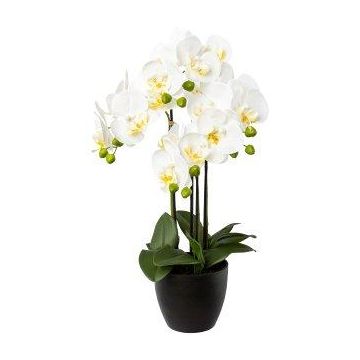 Kunst Phalaenopsis Orchidee UKERNA im Resin-Übertopf, weiß, 55cm
