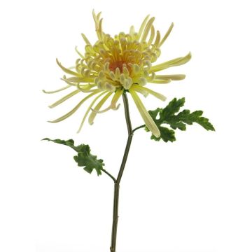 Dekoblume Chrysantheme YASULI, creme-gelb, 70cm