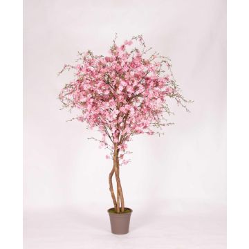 Unechter Pfirsichbaum MILTRAUD, Naturstämme, Blüten, rosa, 300cm - Made in Italy