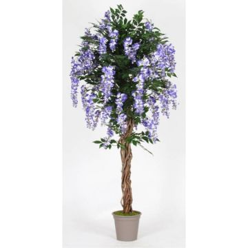 Kunst Blauregen ANNIARA, Echtstämme, mit Blüten, lila, 150cm - Made in Italy