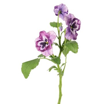 Dekozweig Stiefmütterchen SIANIE, violett-weiß, 35cm, Ø4-6cm