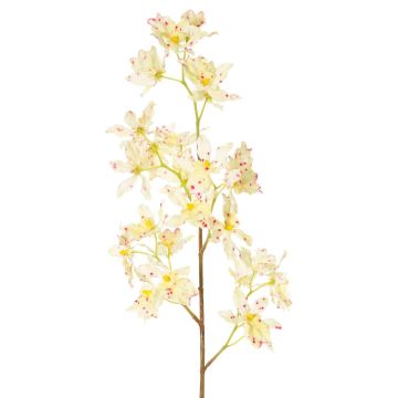 Odontoglossum Orchideenzweig künstlich BELANIA, creme-pink, 75cm