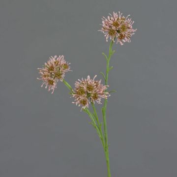 Allium Zweig künstlich ZEBU, rosa, 65cm, Ø7cm