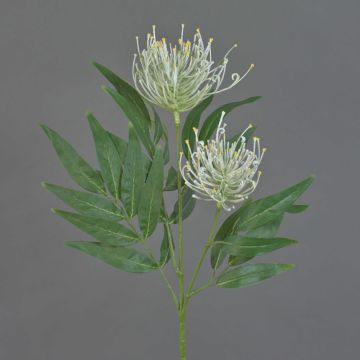 Kunstpflanzen Zweig Silbereiche VULKINTA mit Blüten, weiß-grün, 75cm, Ø9-11cm