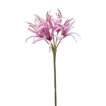 Kunst Spinnenlilie LUCHO, lila, 70cm