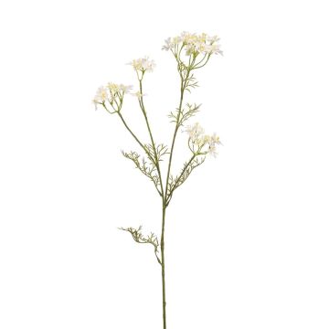 Kunst Dillzweig NUTMEG mit Blüten, weiß, 85cm