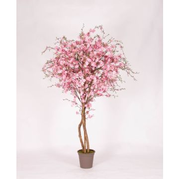 Unechter Pfirsichbaum MILTRAUD, Naturstämme, Blüten, rosa, 175cm - Made in Italy
