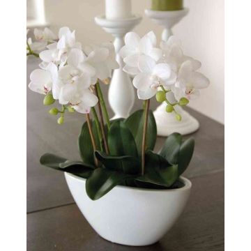 Kunst Phalaenopsis Orchidee JASMIN in Keramikschale, weiß, 40cm