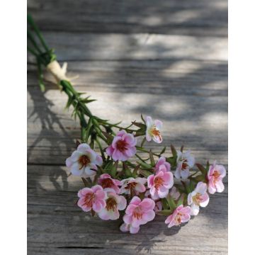 Künstliche Wachsblume HEKLA, rosa-gelb, 30cm, Ø2-2,5cm