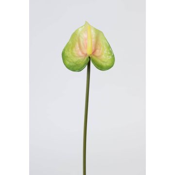 Künstliche Anthurium FELISA, grün, 50cm, 7x9cm