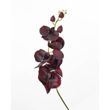 Kunstzweig Phalaenopsis Orchidee DAJANA, burgunderrot, 90cm