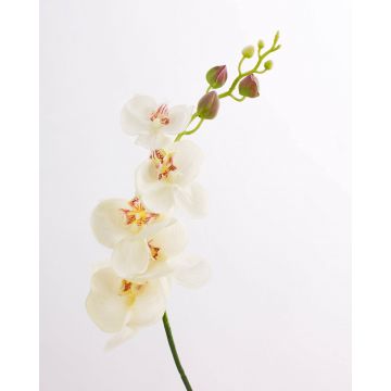 Kunstzweig Phalaenopsis Orchidee DAJANA, creme-weiß, 90cm