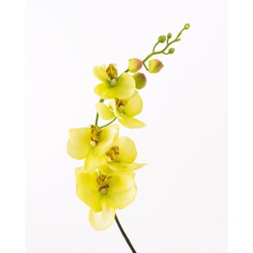 Kunstzweig Phalaenopsis Orchidee DAJANA, gelb-grün, 90cm