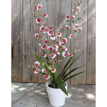 Kunst Orchidee Oncidium YOSEPHIN im Tontopf, weiß-rot, 70cm