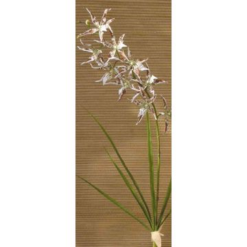 Kunst Odontoglossum Orchidee ZOFIA, Steckstab, creme-braun, 105cm