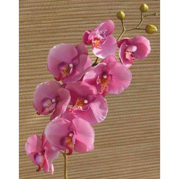 Dekozweig Phalaenopsis Orchidee RICKY, pink, 105cm
