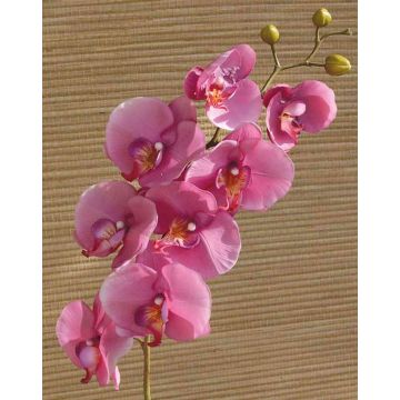 Deko Phalaenopsis Orchidee künstlich RICKY, pink, 95cm, Ø7-11cm
