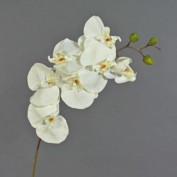 Deko Phalaenopsis Orchidee künstlich RICKY, creme, 95cm, Ø7-11cm
