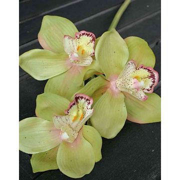 Kunstzweig Cymbidium Orchidee SERAPHINA, grün-rosa, 45cm