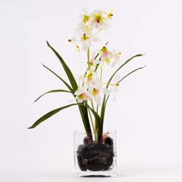 Dendrobium Orchidee künstlich ZUZA in Dekoglas, weiß-grün, 35cm