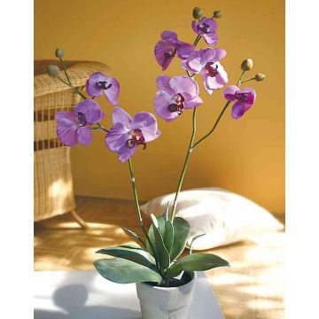 Kunststoff Phalaenopsis Orchidee RHIJANA, Tontopf, hellviolett, 60cm
