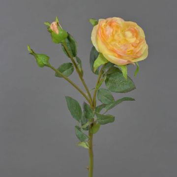 Künstliche Kohl-Rose OLIVERA, gelb-aprikose, 30cm, Ø9cm