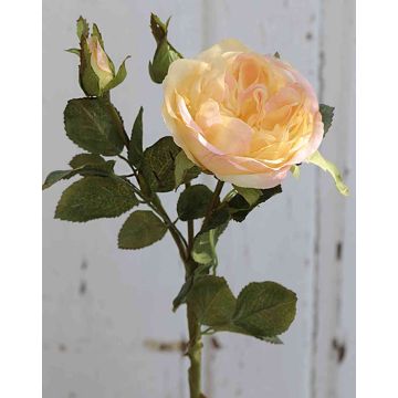 Künstliche Kohl-Rose OLIVERA, gelb-aprikose, 30cm, Ø9cm