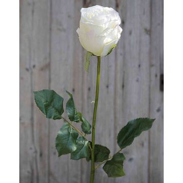 Künstliche Rose OPHELIE, creme-rosa, 85cm, Ø7cm